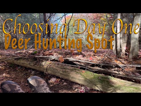 Видео: Выбор места для охоты на оленя в первый день