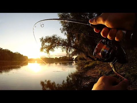 Видео: Десна, щуки и тяжелый джиг на закате... Ловля щуки на джиг Рыбалка летом 2018