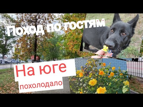 Видео: Влог# 552 На ЮГЕ резко похолодало 🥶 Поход по ГОСТЯМ 😌