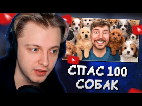 Видео: СТИНТ СМОТРИТ: Я Спас 100 Брошенных Собак! // MrBeast