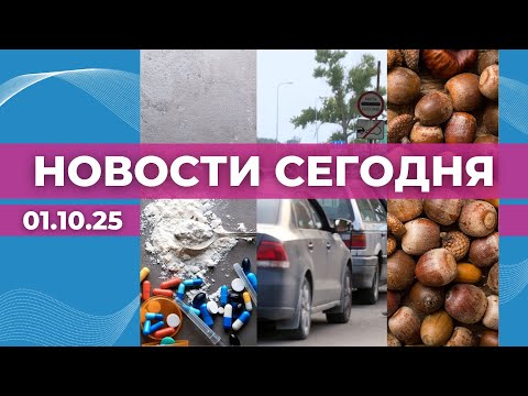 Видео: Трагедия в Кулдиге | Новый порядок на границе| Желуди в обмен на экскурсию