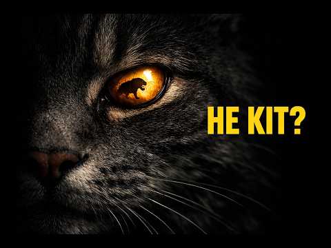 Видео: 50 фактів про котів, після яких ви подивитесь на свого кота ІНАКШЕ