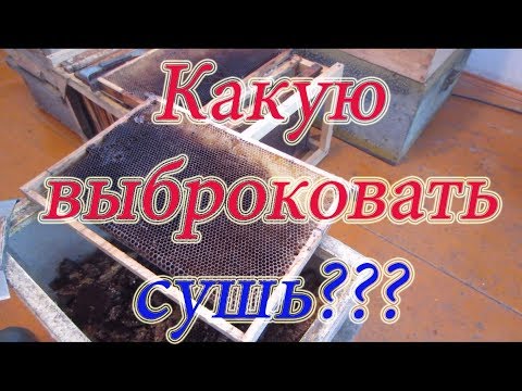 Видео: КАКУЮ ВЫБРАКОВАТЬ СУШЬ ИЗ РАМОК?🔥