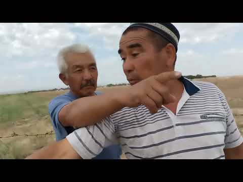 Видео: 6 июля 2022 г.