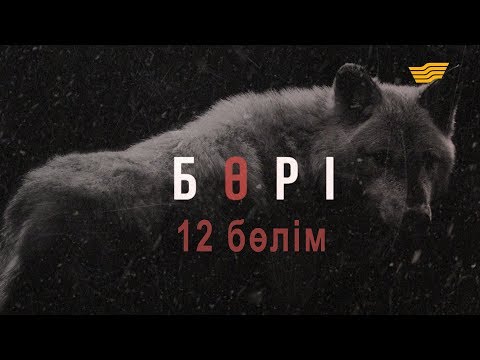 Видео: «Бөрі» 12 бөлім \ «Бори» 12 серия
