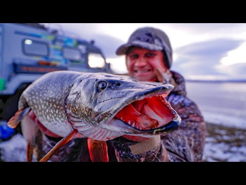 Видео: Ямал 2024: первый лёд и ОГРОМНЫЕ ЩУКИ | С полем!