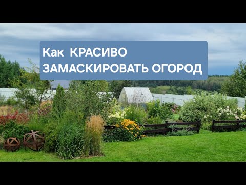 Видео: Как КРАСИВО ЗАМАСКИРОВАТЬ ОГОРОД: пример озеленения. 