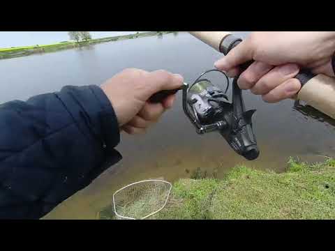 Видео: Рыбалка  пеньки 8.05.2022г