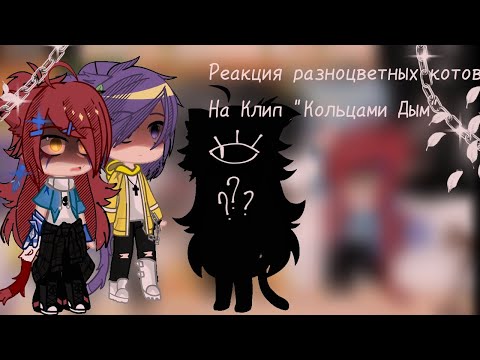 Видео: 🍃//Реакция Разноцветных Котов на клип "Кольцами Дым"//Part 1/?//+ Сюжет?//Not Canon!//❗ЧИТ.ОПИС❗//🌿