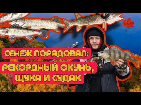 Видео: Сенеж порадовал: РЕКОРДНЫЙ ОКУНЬ, щука и СУДАК