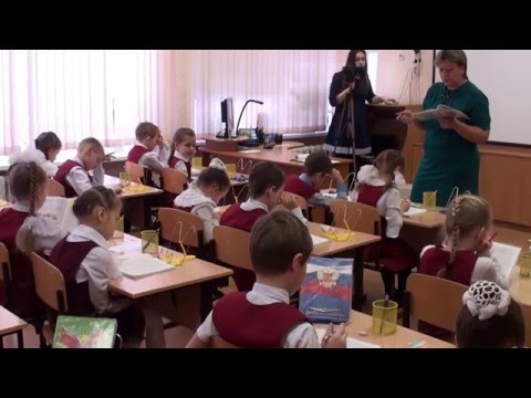 Видео: Урок литературного чтения Акула.