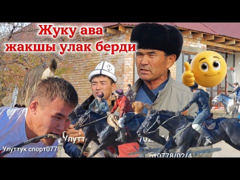 Видео: Жуку ава той откоруп улак берди