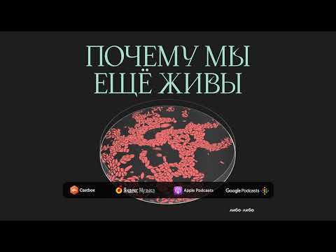 Видео: Бей-беги-замри: как адреналин спасает жизни | Подкаст Почему мы ещё живы