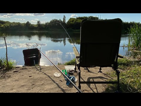 Видео: Тест фидера Nautilus Zenon Feeder на большой реке| Поймал подлещиков| Река Дон