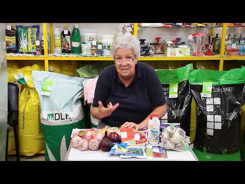 Видео: 310_Почему карбофос и Максим?