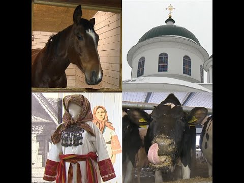 Видео: Многогранный Дальнеконстантиновский район. Видеоэкскурсия.