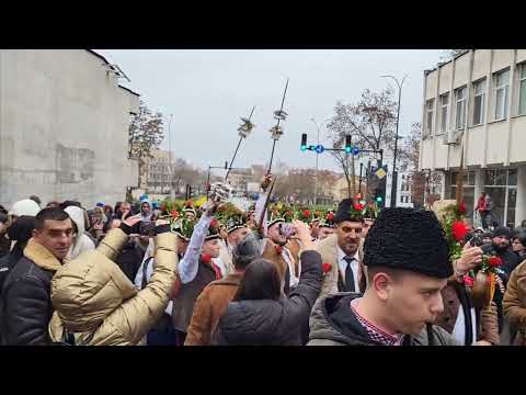 Видео: Четири коледарски куди,гр.Ямбол.      танцуващи буенек 2024г.