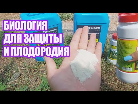 Видео: Биопрепараты, которые я использую на малине и ежевике