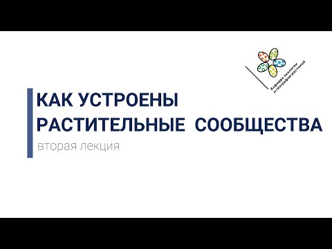 Видео: Как устроены растительные сообщества