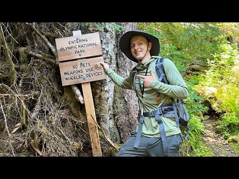 Видео: Прячусь от ДЕПОРТАЦИИ в горах Калифорнии? Моя история в США