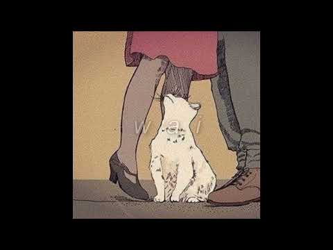 Видео: свидание — я и твой кот // slowed + reverb