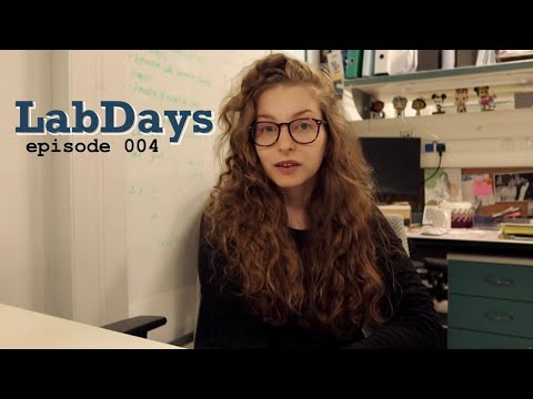 Видео: WarDays │ ракетная тревога в лаборатории, Израиль