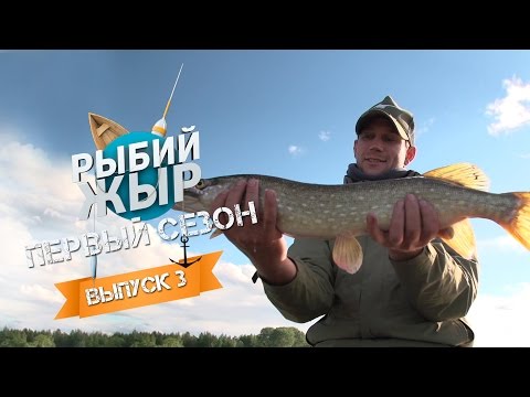 Видео: Рыбий ЖЫР- Рыбалка на Иваньковском водохранилище (Выпуск 3)