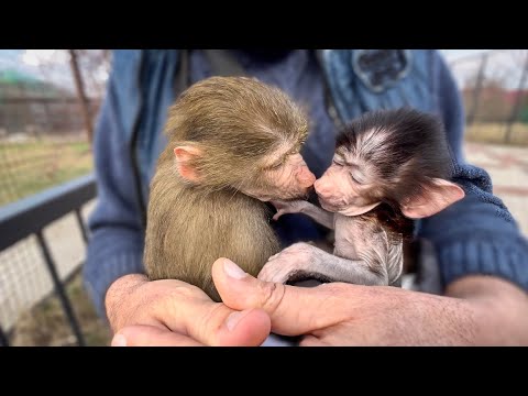 Видео: Люся не только ОБНИМАЕТ, но и так НЕЖНО ЦЕЛУЕТ Степашку)))