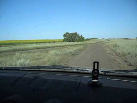 Видео: Алексей Маклаков-Тополя.