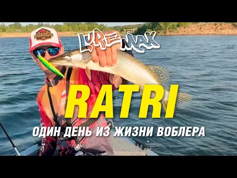 Видео: Обзор LureMax Ratri или один день из жизни воблера на Нижней Волге