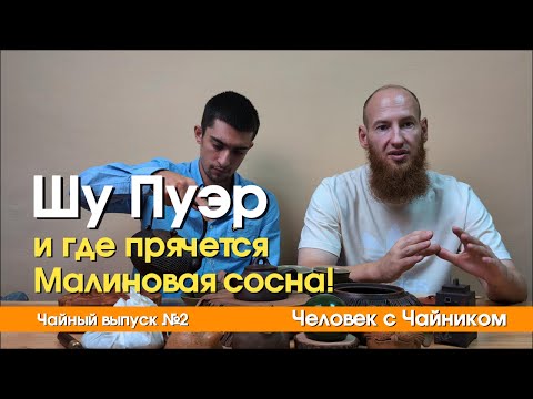 Видео: Шу пуэр. Малиновая сосна в деле!