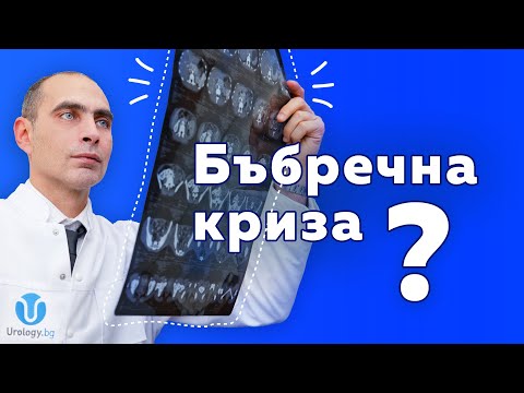 Видео: Бъбречна криза - какво да правим?