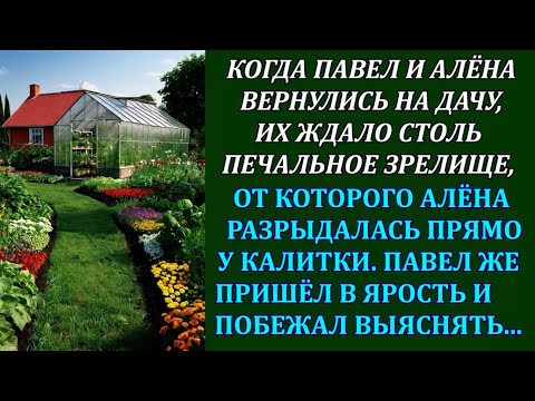 Видео: Алена всё лето пахала на даче, засадила весь огород и теплицу, но приехав собирать урожай...