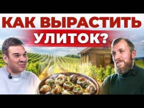 Видео: Улитки и с чем их едят. Секреты выращивания гигантских улиток. Ферма улиток в центральной полосе