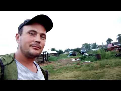 Видео: больные телята выбраковка