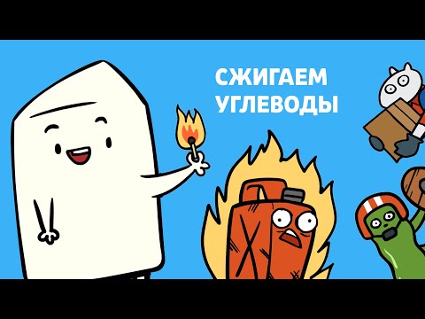 Видео: БЕЛКИ, ЛИПИДЫ и УГЛЕВОДЫ за 5 минут! | Анимация - биология