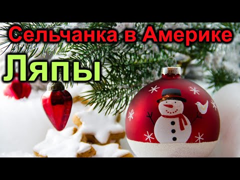 Видео: Сельчанка в Америке. Праздник и ляпы Сельчанки