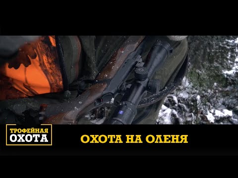 Видео: Охота на Благородного Оленя | Трофейная охота №49