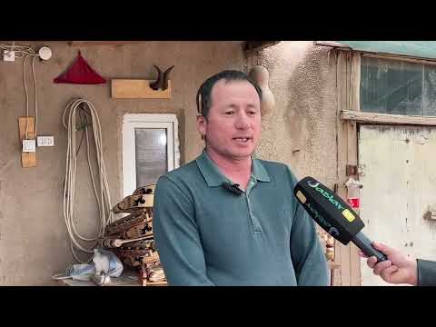 Видео: Шымбай районы Ажинияз кошеси бари ис билермен адамлары