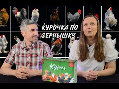 Видео: КУРЫ - ПРАВИЛА, ЛЕТСПЛЕЙ, МНЕНИЕ