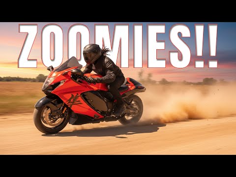 Видео: Сегодня я получил ZOOMIES на Hayabusa.