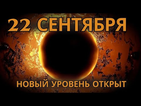 Видео: 🚨 Вчера Вселенная повысила вас. Готовы ли вы к следующему уровню? 🚨