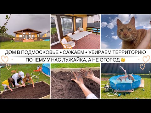 Видео: Дом в Подмосковье / Почему у нас газон, а не огород / У всех всё идеально, кроме меня / Сажаем