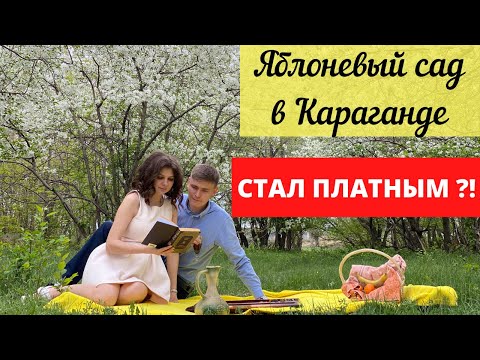 Видео: Яблоневый сад в Караганде (Уштобе): Как доехать || Стоимость || Обзор территории