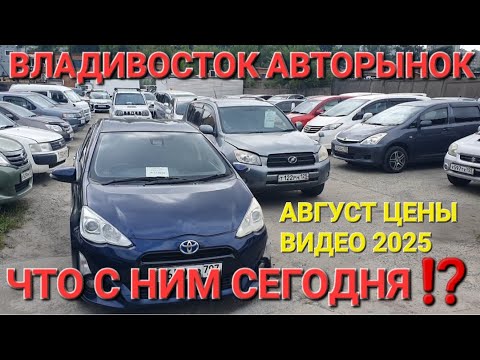 Видео: АВТОРЫНОК ВЛАДИВОСТОК, ЧТО С НИМ СЕГОДНЯ? ЦЕНЫ ВИДЕО 2025