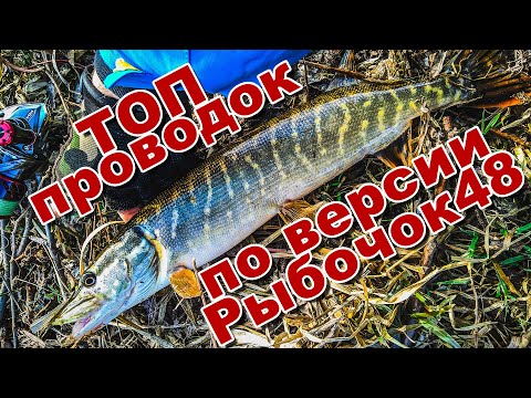 Видео: Мой топ лучших джиговых проводок | Лучшие проводки по версии рыбачка48