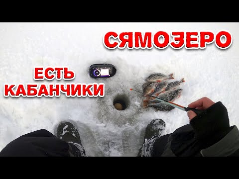 Видео: Рыбалка на Сямозере. Нашёл хороших окуней. Эхолот Deeper CHIRP+ 2. Зимняя рыбалка в Карелии 2021