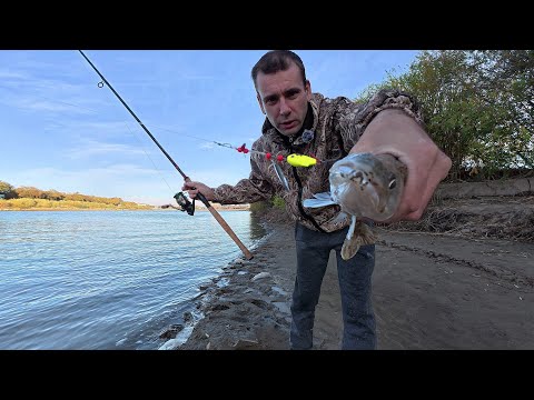 Видео: Я попробовал порыбачить здесь — и вот что вышло!