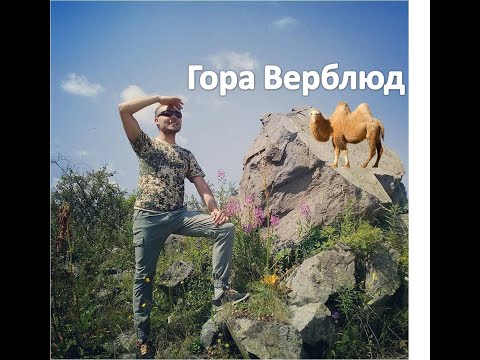 Видео: Верблюжья гора Талгар, Долина Салдыксайского ущелья. Плато Ак-Тас. Лесная сказка. Седловина Талгар.