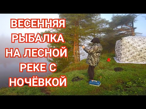 Видео: Первая Рыбалка с Ночёвкой/Весенняя Природа/Лесная Речка/Рыба Клюёт!